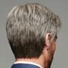 Wig, Men's Shot Wig, Middle-Aged Wig, Short Wig, Short, Grandpa, Dad, Business, Natural, Breathable, Heat Resistant, Cosplay, Men's Wig, Gentleman, Disguise, Full Wig, Halloween, Pardie, Ikemen, Fluffy, Harajuku, Black, Fashion, Short Hair, Beautiful Man