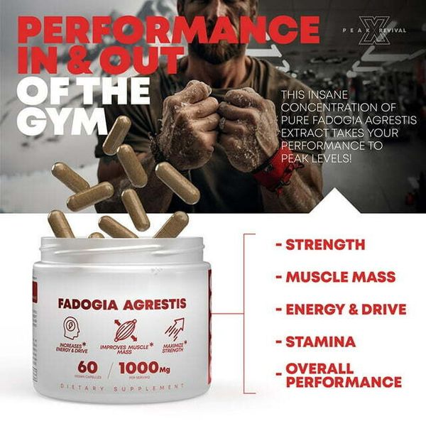 Fadogia Agrestis 1000mg Per Serving Supplement - Potent Extract