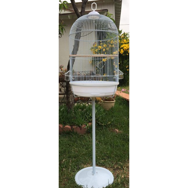 60" Classic Round Bird Cage with Stand for Finch Canary Aviary Budgie Cockatiel Parakeet (16" Diameter x 60" H, White)