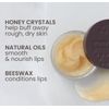 Burt's Bees Conditioning Lip Scrub Exfoliates with Honey Crystals