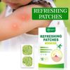 10x Itch Pain Relief Sooth Patch Insect Bugs Sting Bite Refreshing Pad Skin Care
