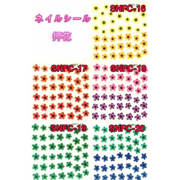 Nail Sticker/Pressed Flower Sticker (SNFC-16)