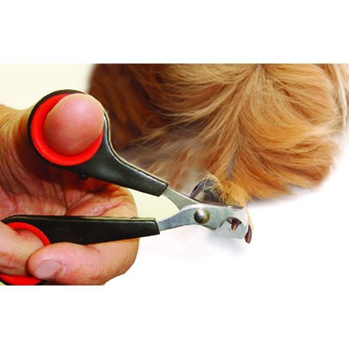 Lixit Grooming Kits For Rabbits, Guinea Pigs and other Small Animals. (2 Piece Kit)