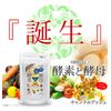 Enzyme and Yeast 90 Grain