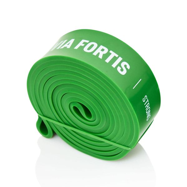 VIA FORTIS Premium Resistance Bands + Übungsanleitung und Tasche - Widerstandsbänder/Klimmzugband und Klimmzughilfe/Fitnessband/Trainings-Bänder für Fitness & Krafttraining