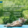 5 x Unit DEAL - Ancol - Reflective Softweave Cat Collar Red