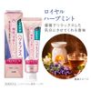 Systema Pug Plus Premium Toothpaste, Royal Herb Mint, Toothpaste, Periodontal Disease, Fluorine, 3.3 oz (95 g) x 2 Packs + Toothbrush Included