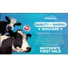 Bovine Colostrum Supplement - 30% IgG Lactoferrin, Immune Support (2 Pack) 240 c