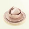 Everything Kitchens Colorful Glazed 16-Piece Dinnerware Set | Blush Pink