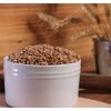 Organic Hard Red Wheat Berries - 3lbs