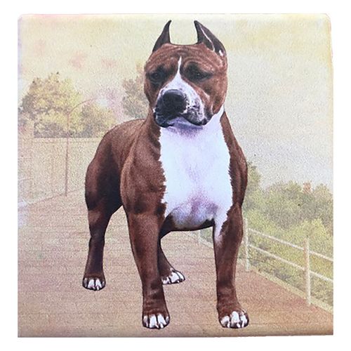 Pit Bull Cropped Ears (Standing) Tabletop Drink Coaster (1)
