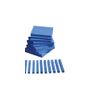 Didax Educational Resources Base Ten Plastic Starter Kit