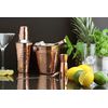 APOLLO 3310 Copper Cocktail Set 5pc, 17x14.5x14.5