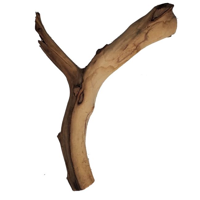 Josh's Frogs Manzanita Wood (Medium)