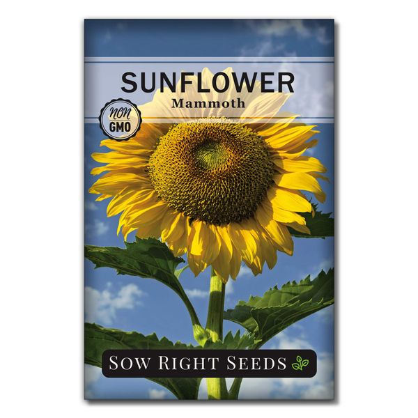 Sow Right Seeds - Mammoth Sunflower Seeds to Plant - Grow Giant Sunflowers in Your Garden - Non-GMO Heirloom Seeds for Planting an Outdoor Garden - Bright Yellow Blooms - Attract Bees and Birds (1)