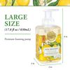 Michel Design Works Foaming Hand Soap, 17.80-Fluid Ounce, Lemon Basil