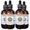 Horse Chestnut (Aesculus hippocastanum) Liquid Extract 4x4 Oz