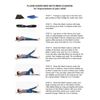 CUSHION, CHIROPRACTIC CUSHION, PELVIC, SCIATICPAIN, HEMORRHOIDAL PAIN RELIEVING