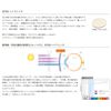 HYDE UV and Blue Light Reduction Overhide Sunglasses Gray Half
