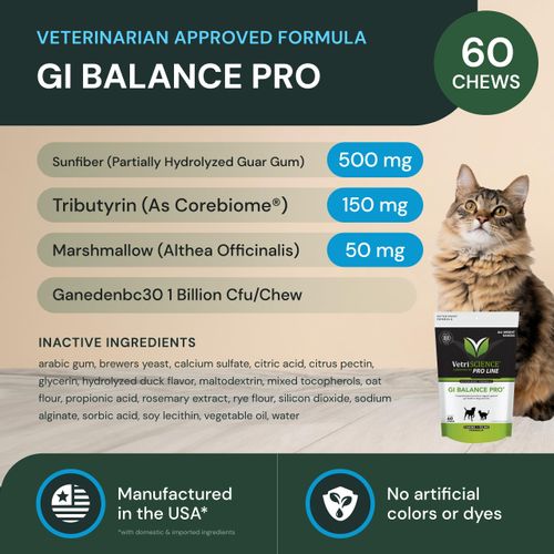 VetriScience GI Balance Pro - Gut & Immune Health Support Supplement for Cats & Dogs - Probiotic Pet Supplement Aids Digestive Comfort - Gastrointestinal Support Formula for Cats & Dogs - 60 Chews