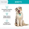 Kelp Supplement for Dogs – Natural Seaweed Powder for Thyroid Function, Denta...