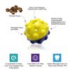 FOUFIT 85635 Mini Treat Ball for Dogs, Bumpy, 3"