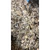 Mullein cut Herb organic wild crafted botanical leaf  - 1/2 LB Pound