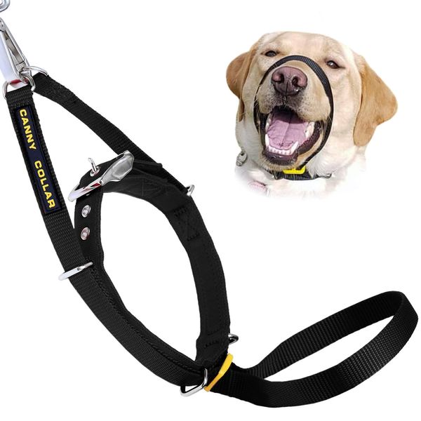 Canny Collar No Pull Dog Head Collar, Lead Training Head Harness, Dog Collar that stops pulling - Easy to fit, simple to use, kind, safe, comfortable