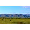 Spring Pasture Model Railroad Backdrop (HO Scale)