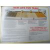 STAR BRITE Premium Gold Teak Oil Quart