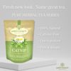 Catnip Tea by Palm Beach Herbals  | 30ct, Caffeine-Free