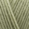 Stylecraft Special DK 100g (Mushy Peas 2173)