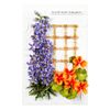 Spellbinders Delphinium Etched Dies, Metal