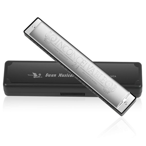 Mundharmonika Professionelle C-Dur Blues Harmonica Diatonische 24 Loch mit Fall für Blues Folk Jazz Pop für Erwachsene Kind Kinder Student Anfänger Geschenk (Silber)