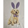 PAPYRUS 3D FELT BUNNY EARS GOLDEN RETRIEVER PUPPY EASTER CARD