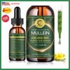 2xMullein Leaf Extract Super Concentrated 420,000 MG  2 FL.OZ/60 ML Lung Cleanse