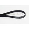 Contitech 5PK1397 Loose Multi-V Belt