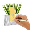 Hallmark Pop Up Card - Contemporary Spider Plant Design