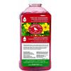 Perky-Pet Hummingbird Nectar