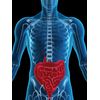 Maintain Optimal Prostate Health - Prostate Complex 1345mg - Green Tea 1 Bottle