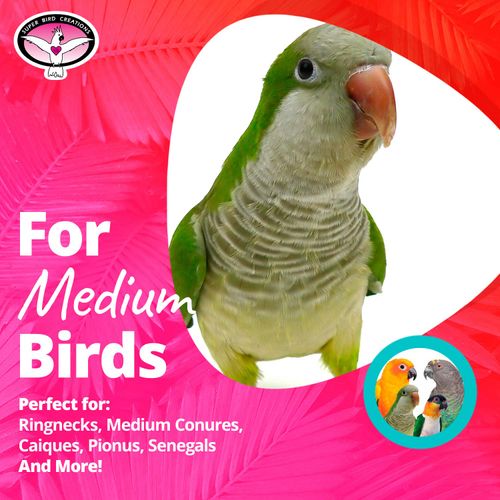Super Bird Creations SB535 Mexican Hat Dance Bird Toy - Enriching Bird Toy for Medium Bird Size - Cockatiels Parakeets Parrots Quakers Caiques - Stimulating and Colorful Chew Bird Toy - 10" x 5.5"
