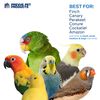 Prevue Pet Products Preen & Pacify Calypso Creations Short Stack Bird Toy 62605