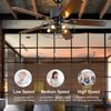 52Inch Industrial Ceiling Fan with Light Kit Dimmable