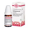 DHU Cardiospermum D2 Streukügelchen, 10 g Globuli