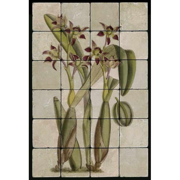 1624 Orchid Backsplash Mural Tumbled Marble Tiles Kitchen Ideas