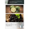 Quattro Botanico Body Cream, Lime & Blackberry Scent, Moisturizing, Botanical Body Treatment, Milk, Pump, Dry Skin, Sensitive Skin, Men's, Unisex, Additive-Free, Aroma, Men's, Full Body, Moisturizing Cream, Skin Care, 6.1 fl oz (180 ml)