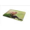 Cute Red Squirrel Mouse Mat Pad - Wildlife Forest Animal Computer #15791