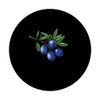 Juniper Berry With A Bold Outline PopSockets Adhesive PopGrip