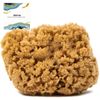 Naroa Natural Massage Shower Sponge for Bathing | Unbleached Body Scrubber Puff | Firm Bath Sponge for Healthy Skin | Eco Friendly Renewable Sea Sponge Small