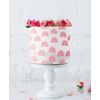 Modern Rainbow Cake Stencil Full Size Design